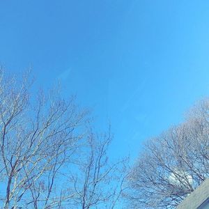 Meet your Posher, Alexandra